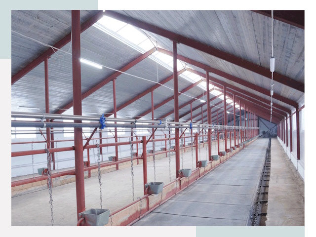 Строительство коровников в Угличе от 625 руб.