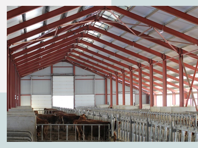 Строительство коровников в Угличе