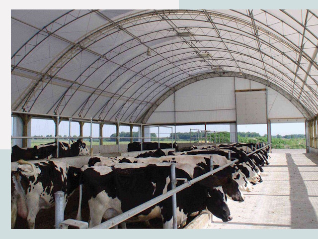 Тентовые коровники в Угличе